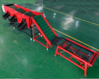 Česnakai rūšiavimo įrangą